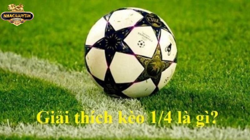 Giải mã thông tin liên quan tới kèo 1 4 là gì Giải mã thông tin liên quan tới kèo 1 4 là gì