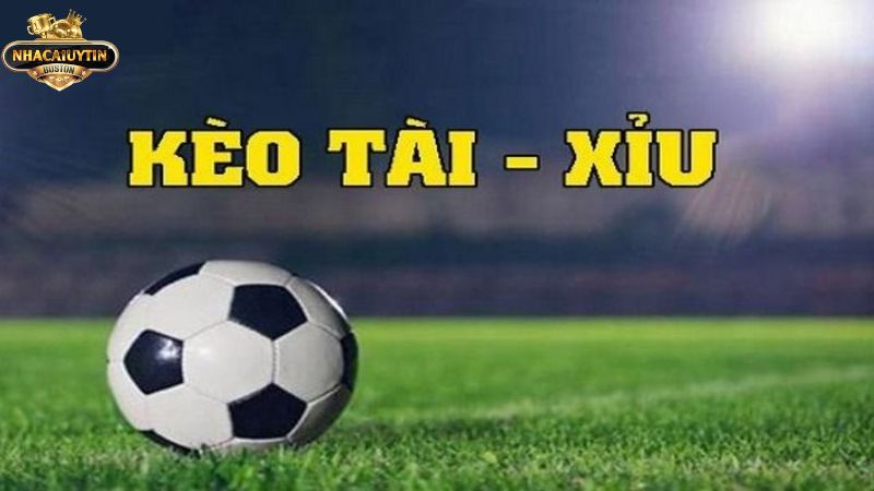 Kèo tài xỉu là gì? Mẹo chơi kèo tài xỉu chắc thắng Kèo tài xỉu là gì? Mẹo chơi kèo tài xỉu chắc thắng